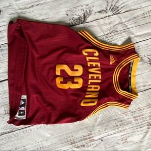 Adidas Lebron James cavs jersey
